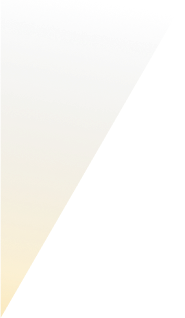 Ingrijire persoane varstnice